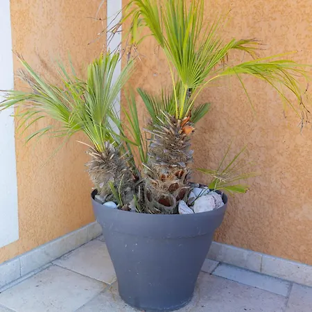 Le Clos D'amelie Peyruis